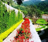 paisagismo-no-Jardim São Luis