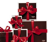 presentes-no-Jardim São Luis